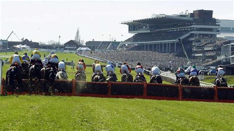 tomorrow's cheltenham tips|Cheltenham Tips for tomorrow: Andy Robson's 3 best bets on  .